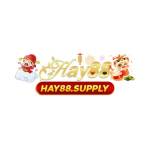 Hay88 supply Profile Picture
