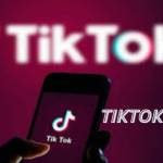 tiktok mod Profile Picture
