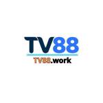 TV 88 Profile Picture