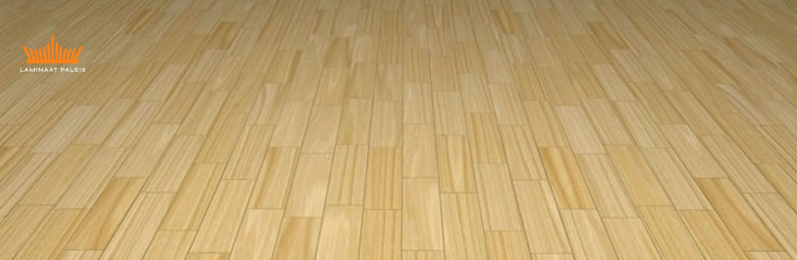 Laminaat Paleis Cover Image