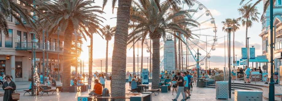 Maison Realty Cover Image