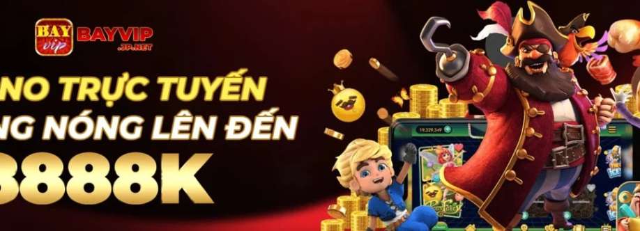 Bayvip net Cover Image