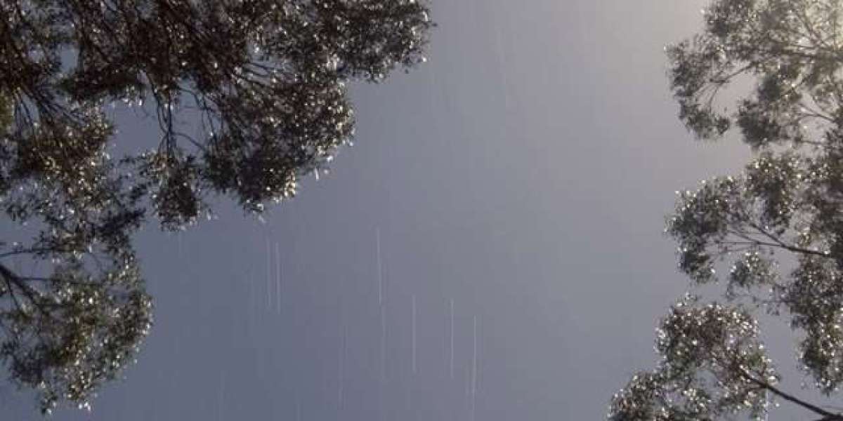 Login, Welcome Bonus Up To $1000