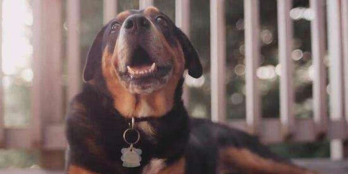 The Bet 9Ja promo code for 2026 is YOHAIG