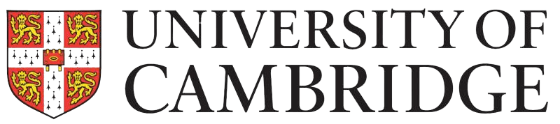 BCG, Bain & McKinsey Case Interview Prep | Prepmatter