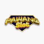 rifa musri Profile Picture