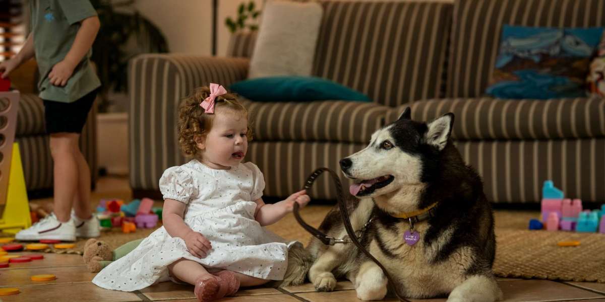 Foster Care Agencies: Bridging the Gap Between Kids in Need and Families