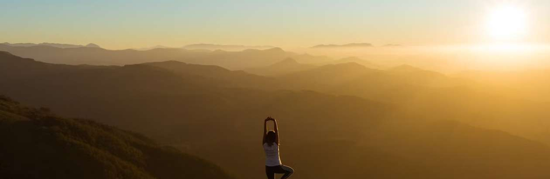 Zero Toxins Cover Image