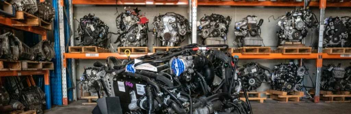 First Auto Parts Plus Cover Image