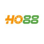 HO88 Profile Picture