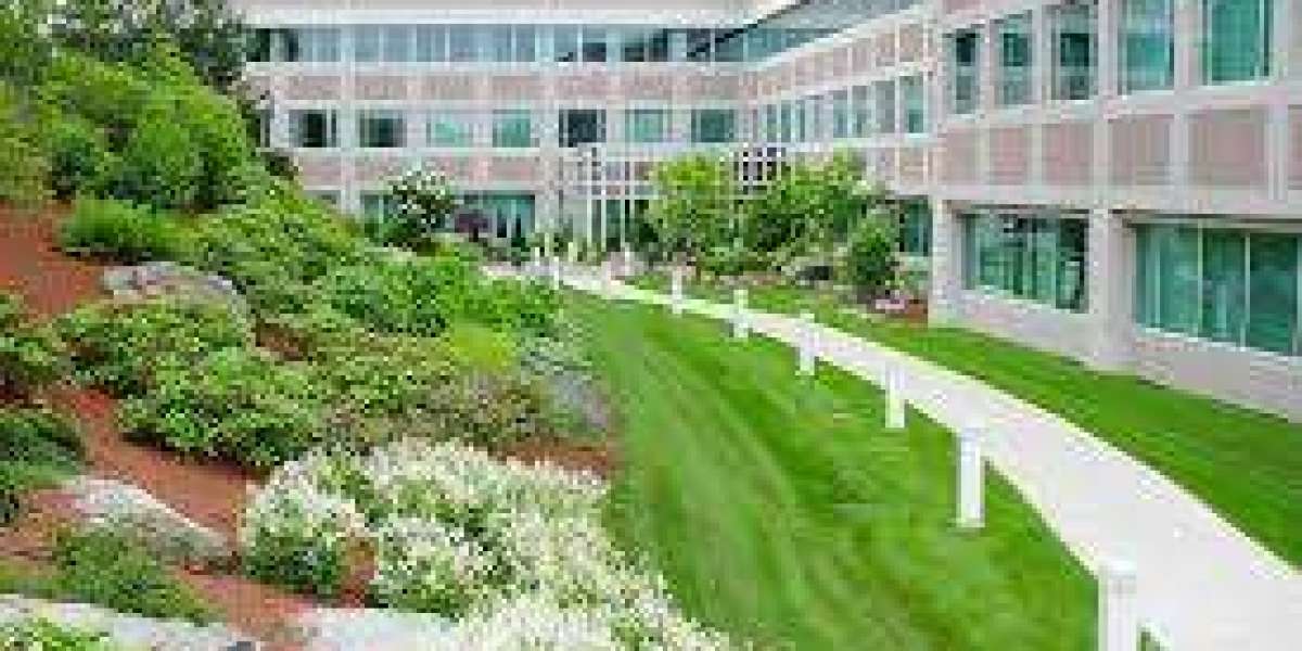 Commercial Landscaping in Massachusetts – A Complete Guide for Businesses