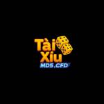 Taixiumd5 cfd Profile Picture