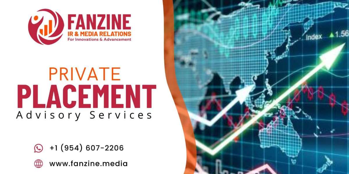 Private Placement Advisory Services: Guiding Companies through Modern Capital Strategies