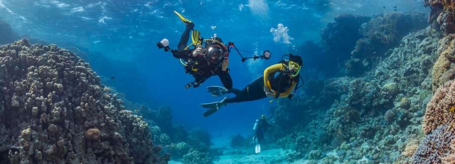 Maldives Stories Profile Picture