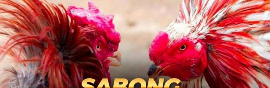 Sabong International Ph Com Cover Image