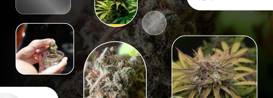 Discreet Advantage Cover Image