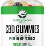 emili robin Profile Picture