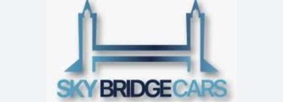 Skybridge cars Cover Image