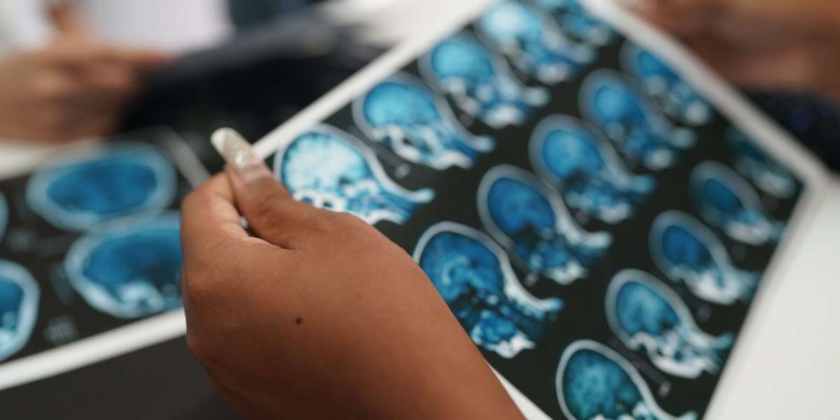 Common Myths About the Brain — Debunked