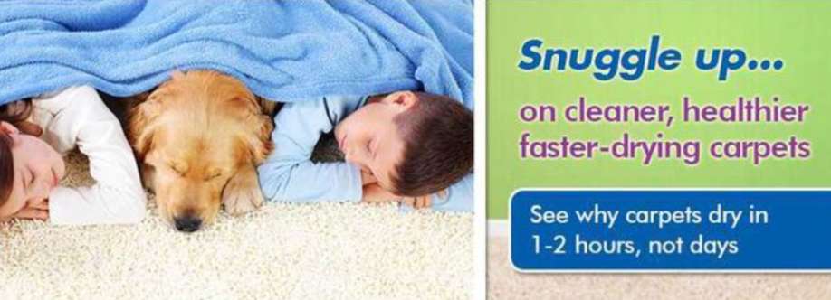 Chem Dry Clean and Green Cover Image