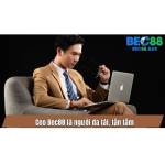 Nguyễn Thành Luân Profile Picture