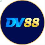 DV88 Profile Picture