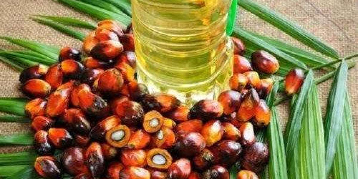 Indonesia Palm Oil Trade: Data, Trends, and Opportunities