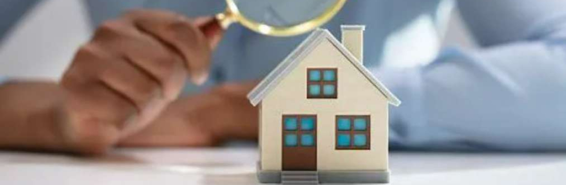 building and pest Sutherland Cover Image