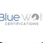 BLUE WOLF Certifications Profile Picture