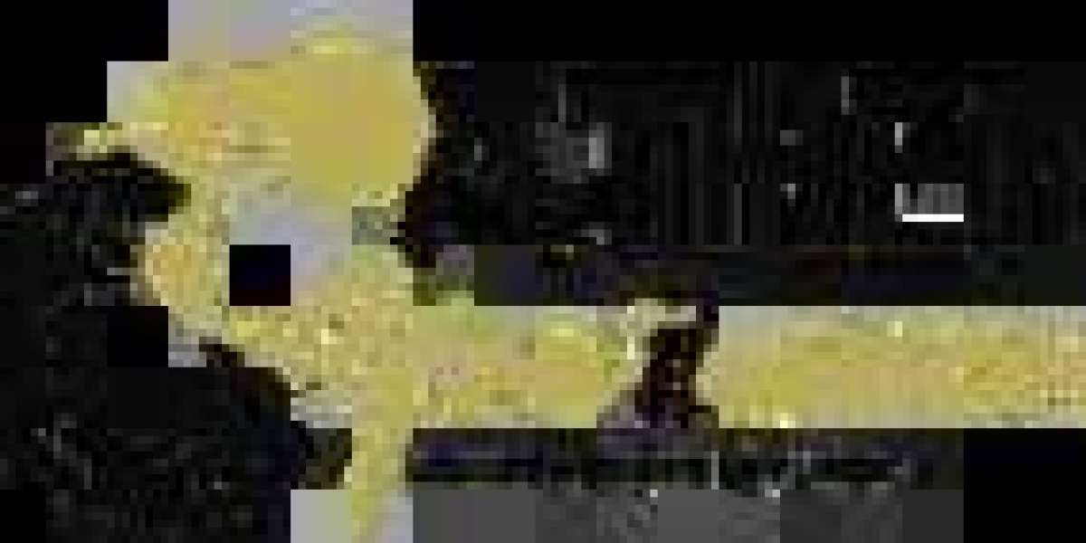 Who is the best skin doctor in Ahmedabad?