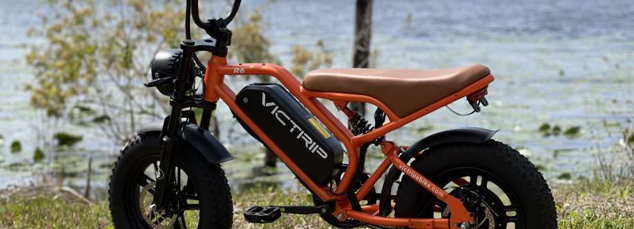 VICTRIP Ebike Cover Image