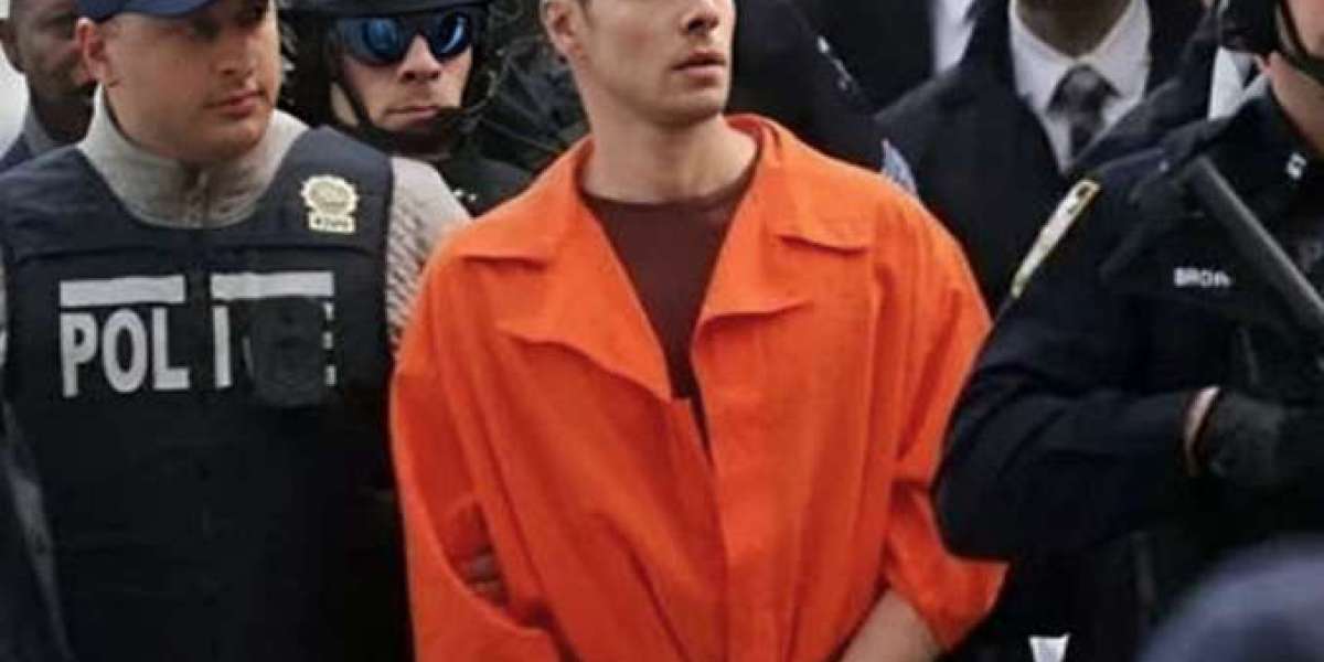 Free Luigi: A Justice Movement Built on Voice, Fairness, and Persistence