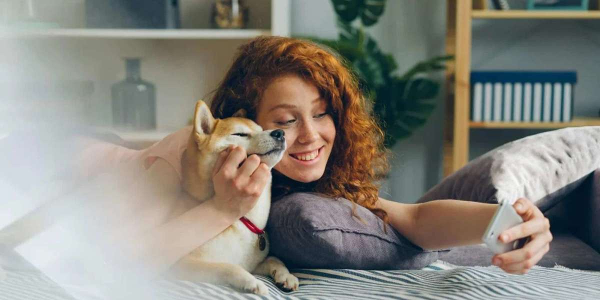 Exceptional Family-Oriented Dental Care Designed to Support Long-Term Wellness