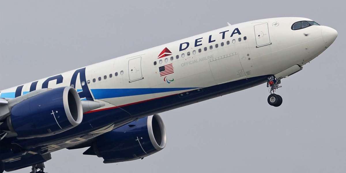 Guide to Delta Airlines SJC Terminal