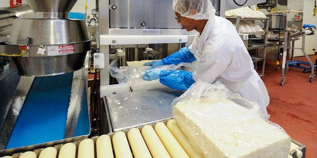 Cheese Manufacturing Plant Report 2025: Machinery, Cost Analysis and Industry Outlook