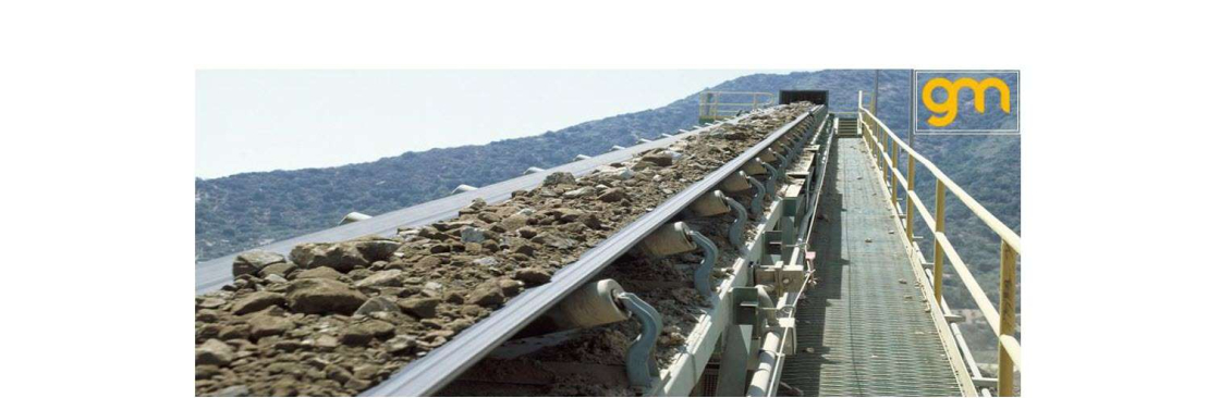 Băng tải Việt Cover Image