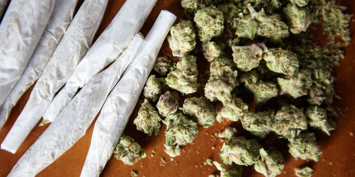 Top Cannabis Store in Albany for Everyday Deals