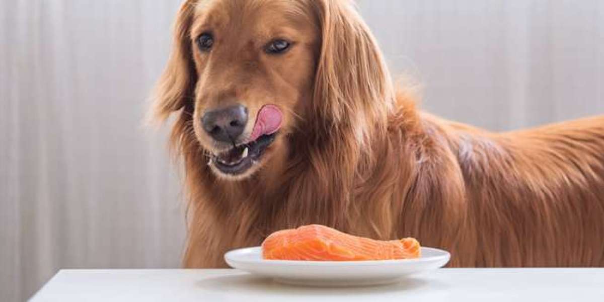 Simple Fish Treats Dogs Love