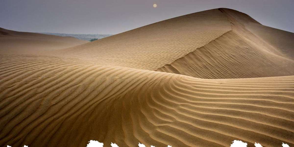 Why Sand Dune Bashing in Jaisalmer Is a Must-Try Desert Experience