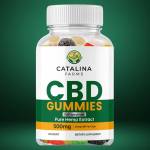 ren morrx Profile Picture