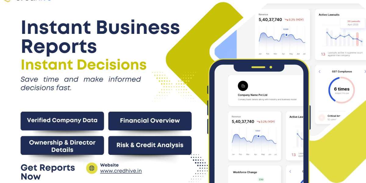 BIR Report Explained: What It Includes and Why Companies Need It Today