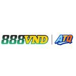 888VND Profile Picture