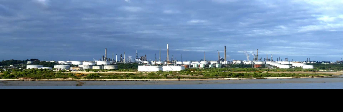 peiyangchem com Cover Image