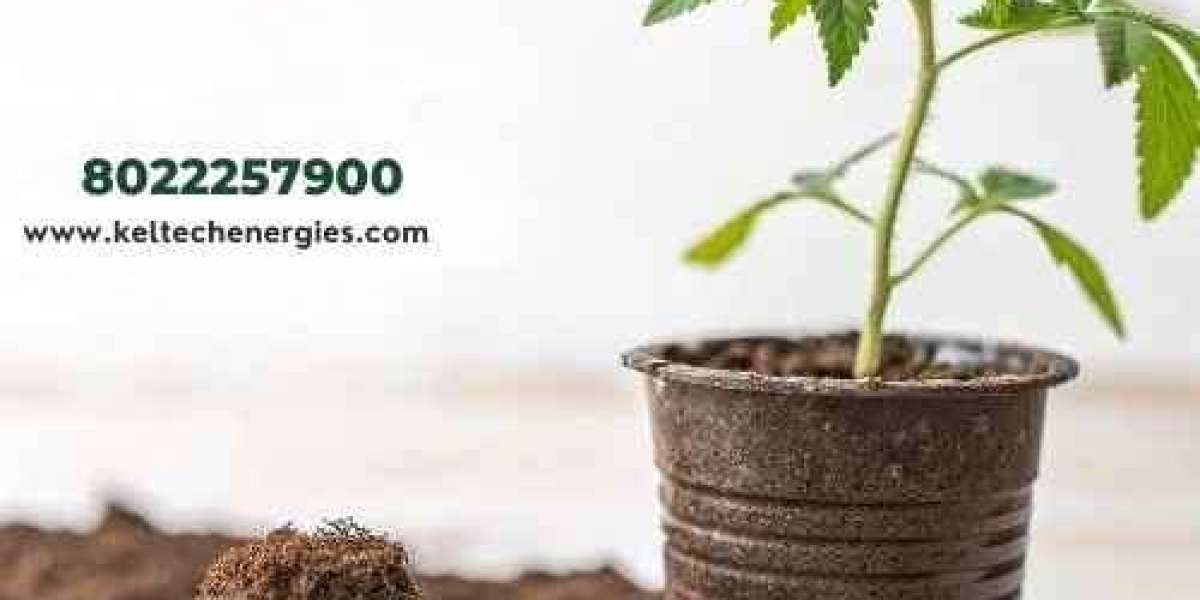 Growing Medium for Plants: Organic, Soilless and Advanced Choices