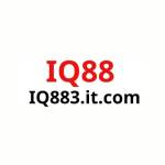 iq883itcom Profile Picture