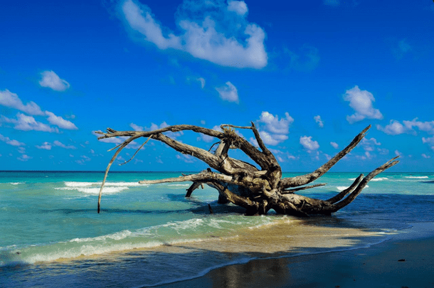 Andaman Nicobar Package: Explore Tropical Bliss