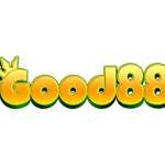 mcreadscom Profile Picture