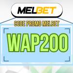 Melmy bet free code Profile Picture