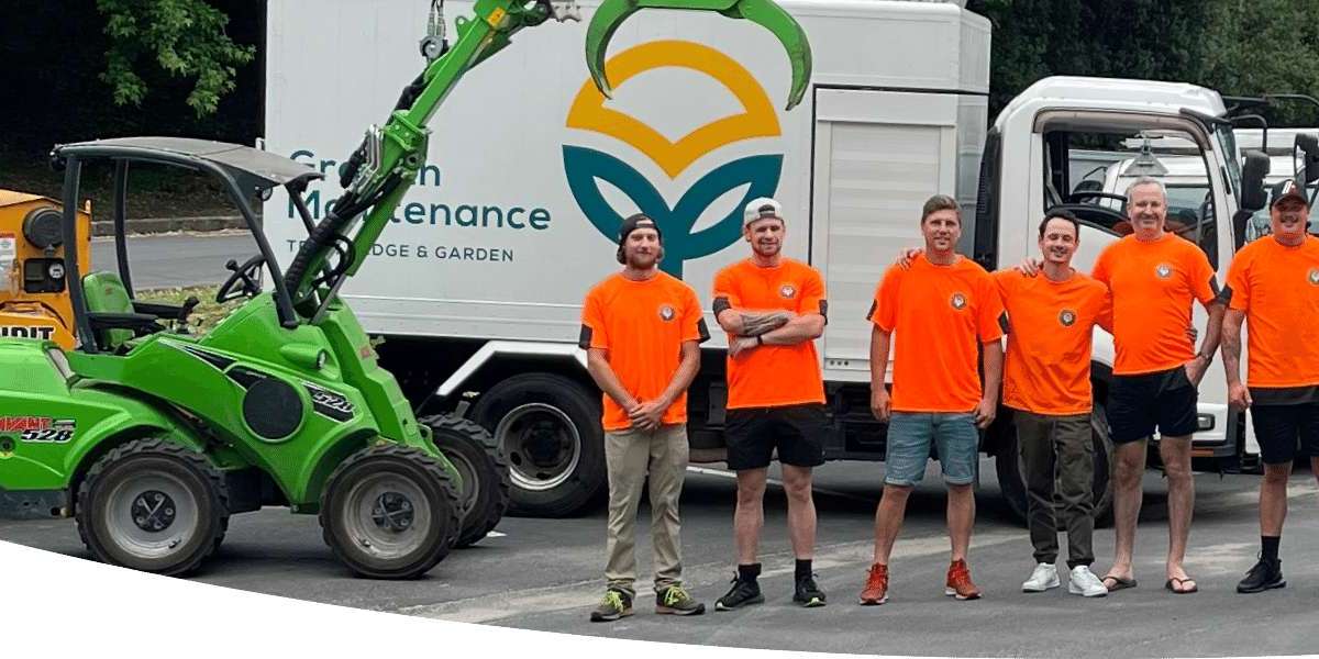 Tree Trimming Auckland