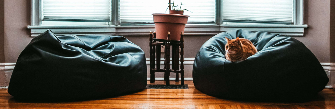 Living With Luxury Cover Image